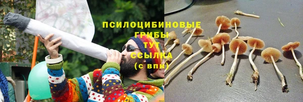 прущие крисы Рославль