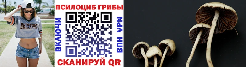 Галлюциногенные грибы ЛСД  Волоколамск 